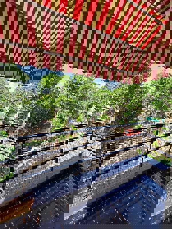 3 BHK + Pooja Room Builder Floor For Rent in Unitech South City II