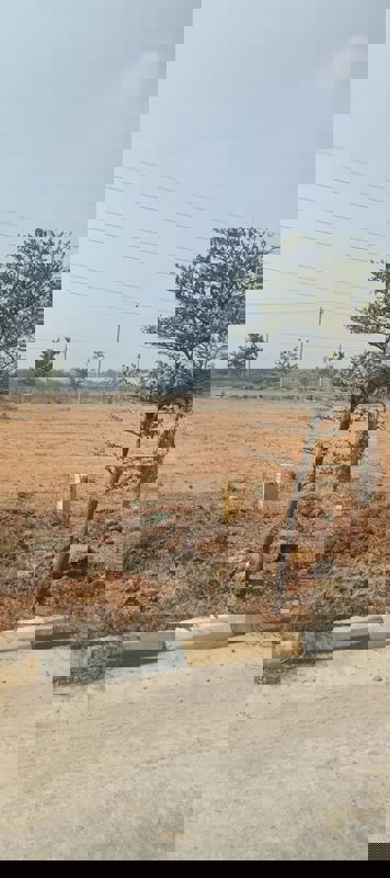 Plot For Sale in Fortune Butterfly City