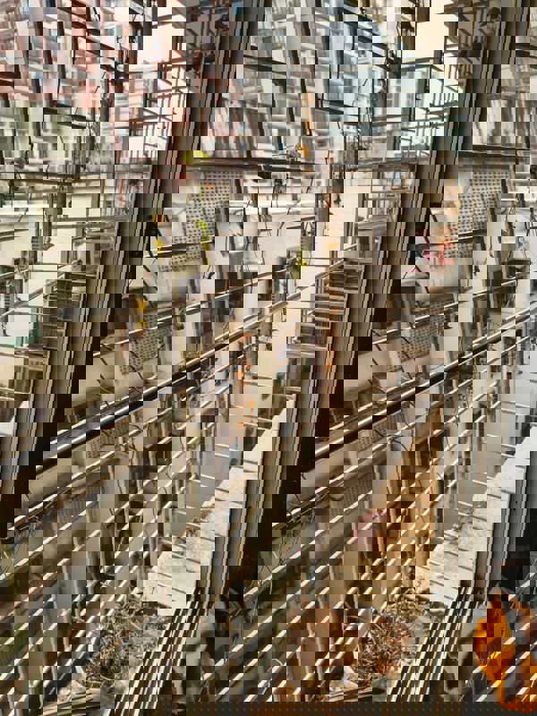 2 BHK + Study Room Apartment For Rent in Pragati Icon Ghatkopar