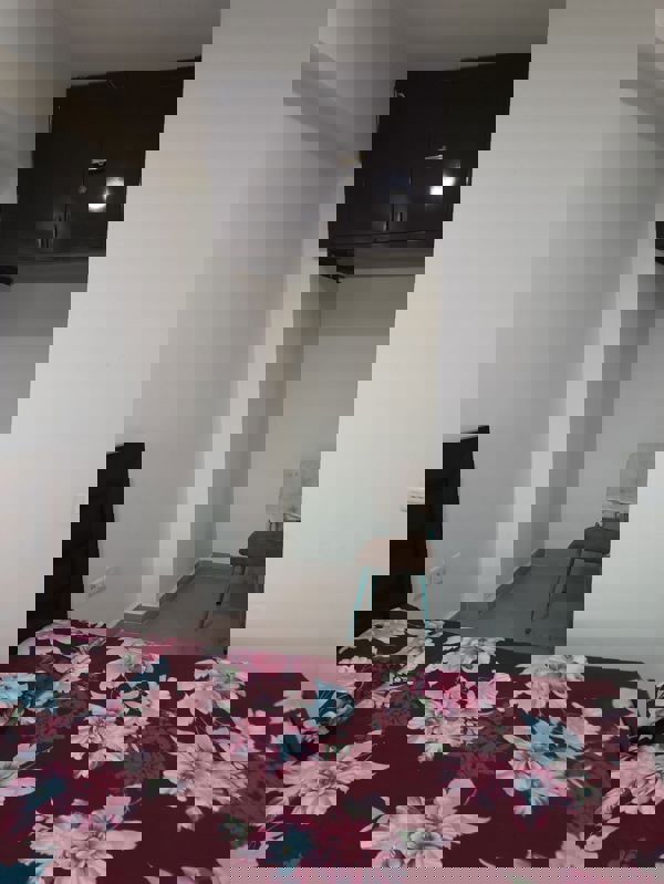 2.5 BHK + Pooja Room,Study Room Apartment For Rent in Mayur Vihar