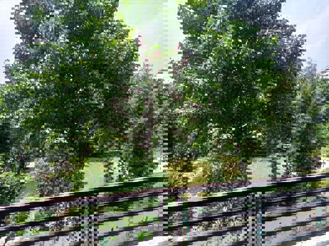 Office Space For Rent in Gomti Nagar