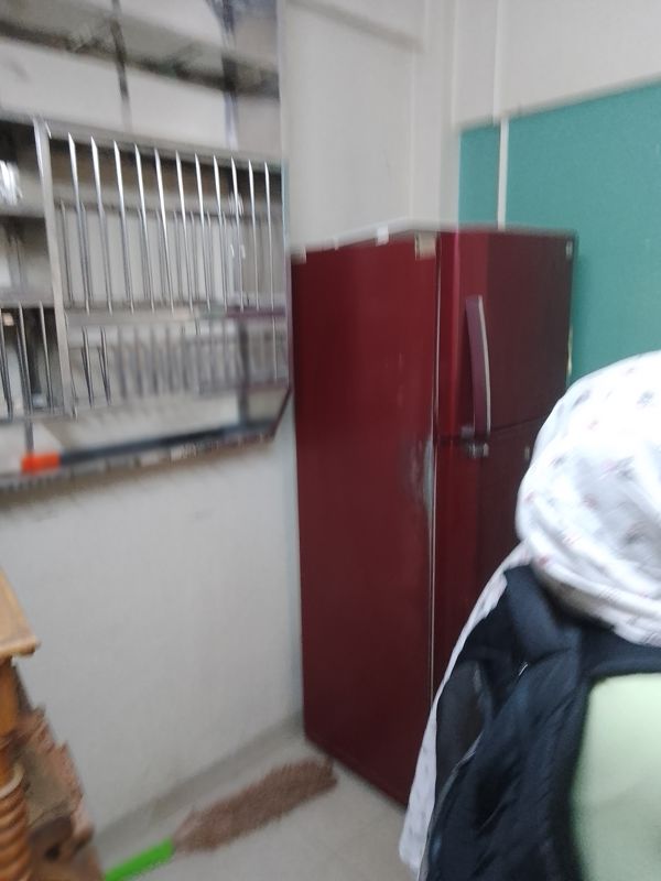 1 BHK Apartment For Rent in Mauli Darshan CHS