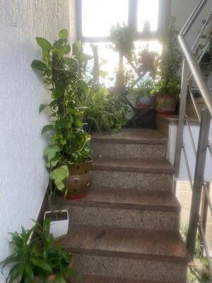 Staircase in 3 BHK Apartment at Hauz Khas – for Rent