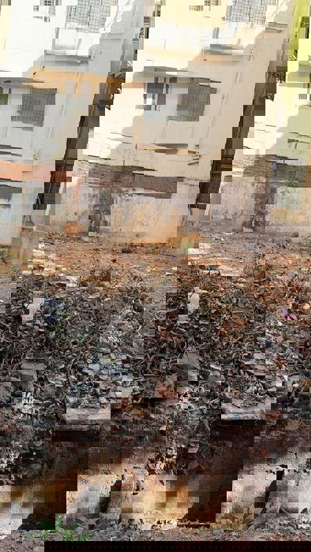 Plot For Sale in Kuvempu Nagar