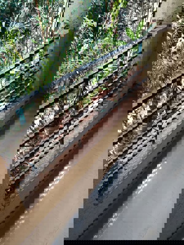 2 BHK Apartment For Sale in Shringar CHS