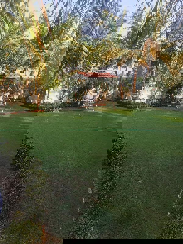 Land For Rent in Hazira - Adajan Road