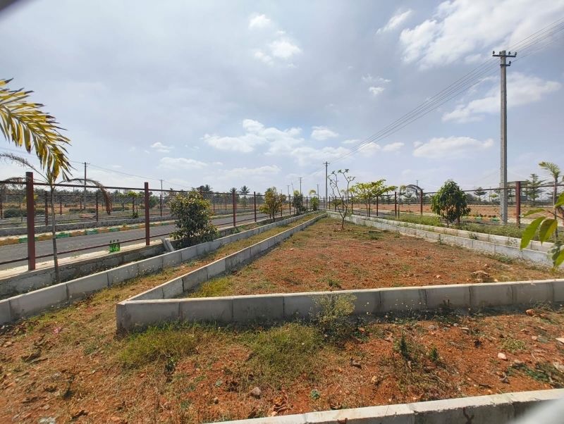 Plot For Sale in Vijay Nagar