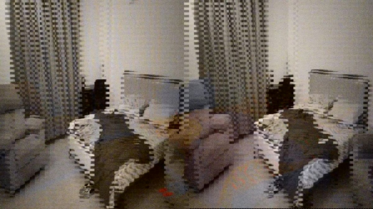 3.5 BHK + Servant Room Apartment For Rent in Shalimar One World Valencia Tower