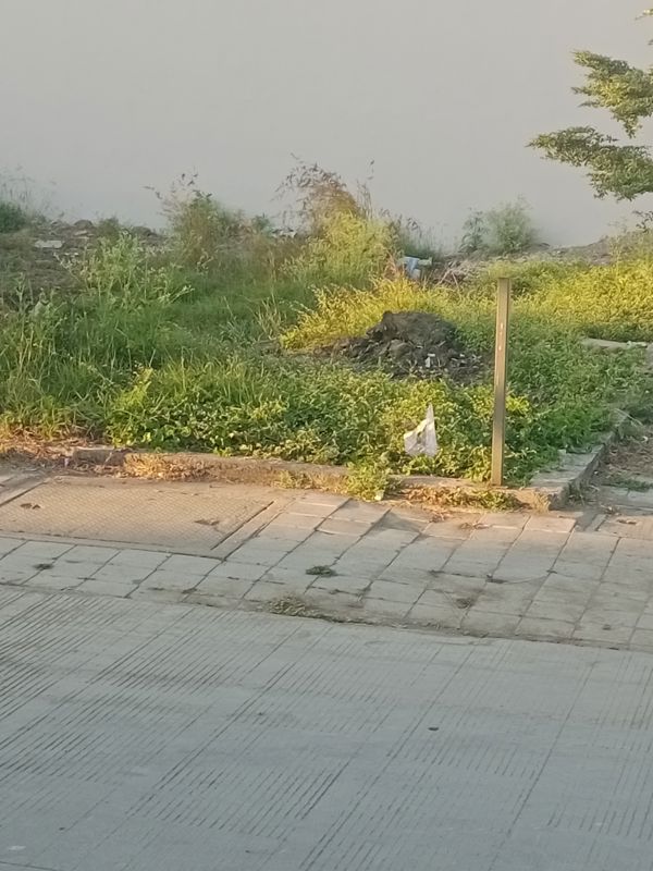 Plot For Sale in Mayakhedi