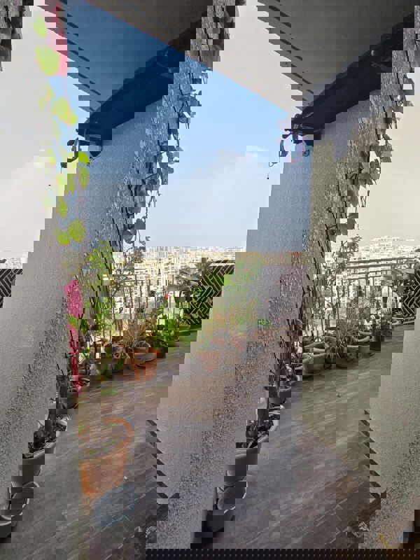 3 BHK Apartment For Sale in Wakad