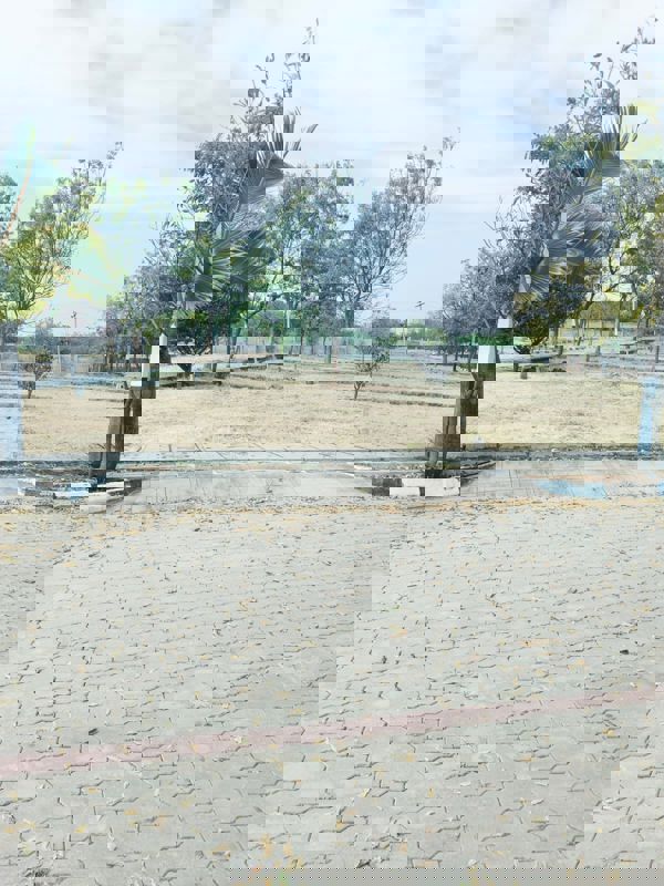 Plot For Sale in Gauribidanur