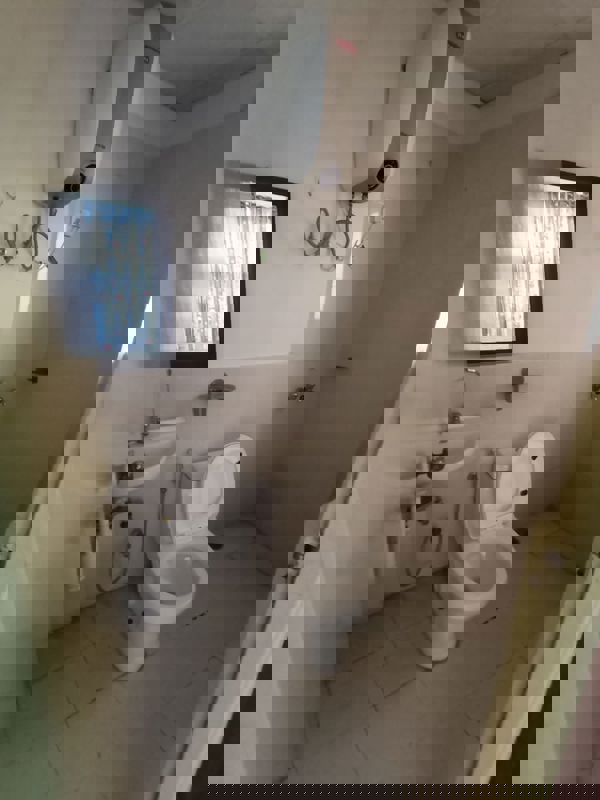 2 BHK Apartment For Rent in Signature Global Synera