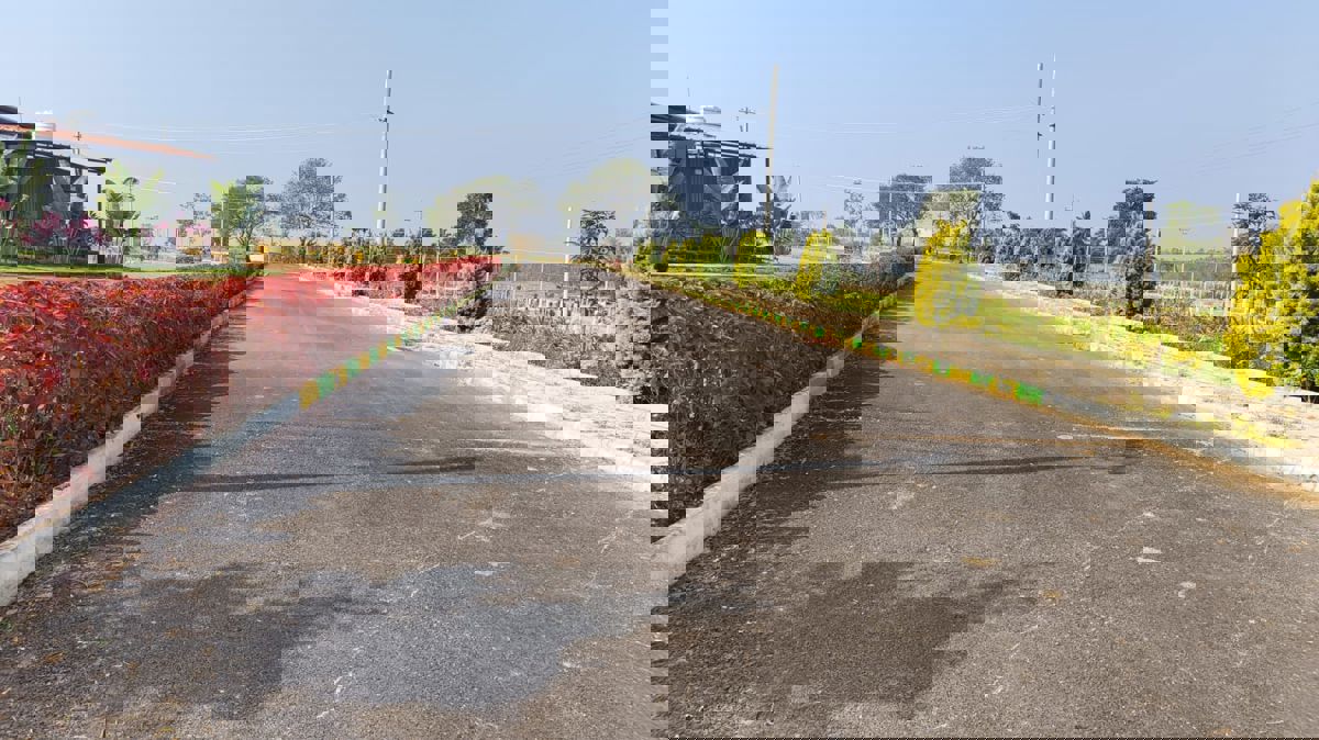 Plot For Sale in Pillahalli