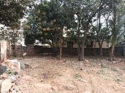 Plot For Sale in Siba Nagar