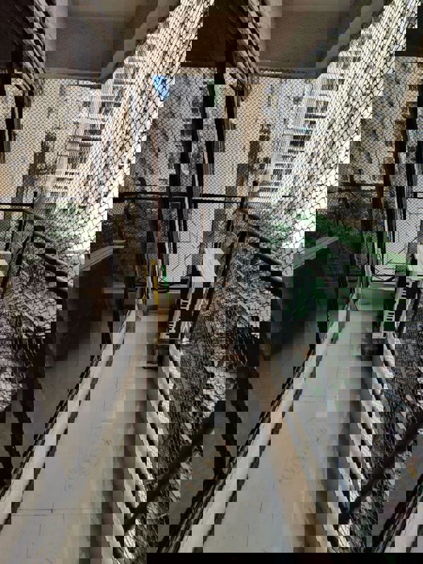 2 BHK + Extra Room Apartment For Rent in Annapurna Sadan CHS