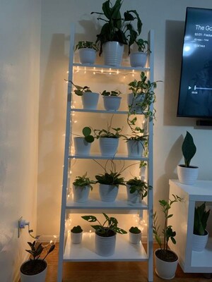 Furnished Amenities in  Pg at Vibhuti Khand – for Rent