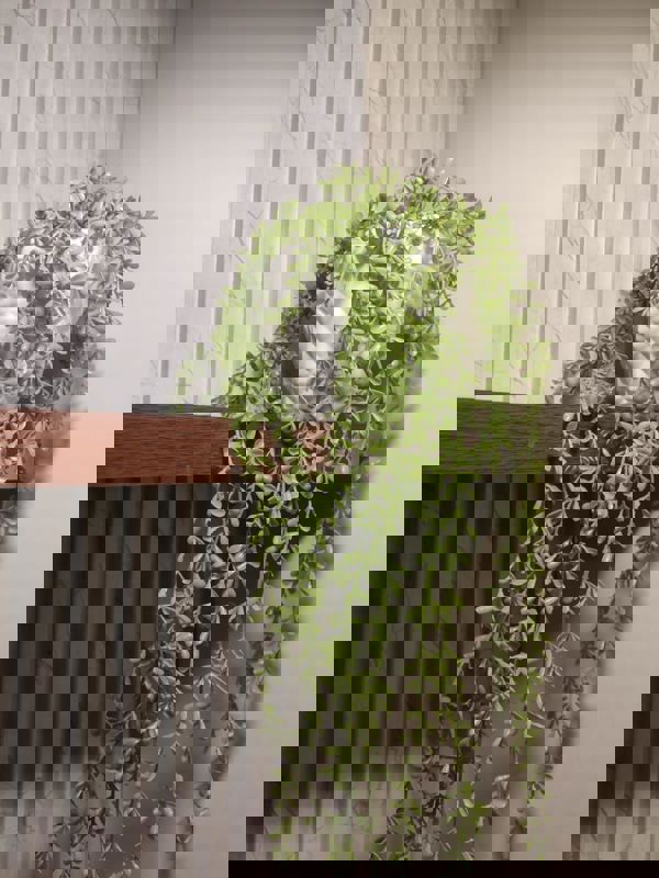 StudioApartment For Sale in Oxirich Square One