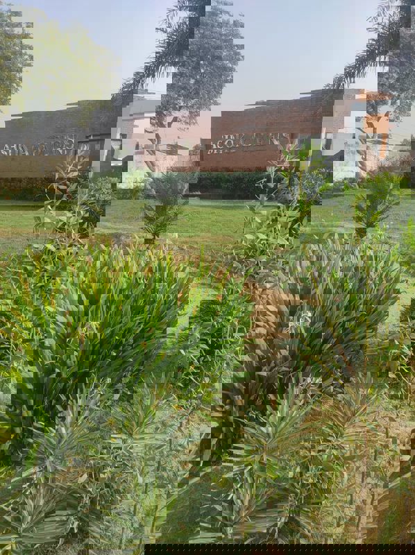 Plot For Sale in Sonipat Road