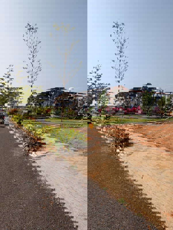 Plot For Sale in Vijay Nagar