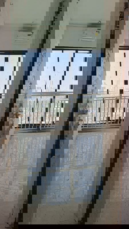 2 BHK + Pooja Room Apartment For Rent in Dynamix Divum