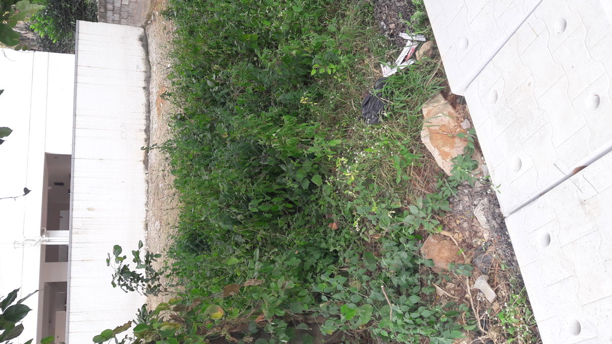 Plot For Sale in Sanjay Nagar