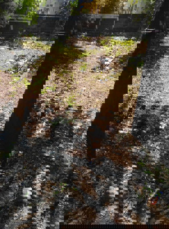 Plot For Sale in Annojiguda