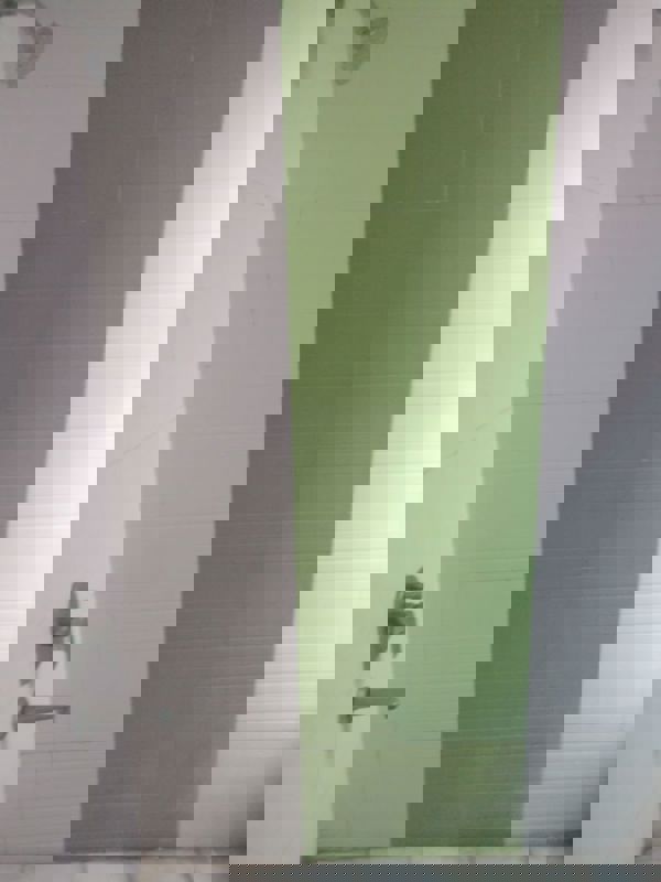 2 BHK + Extra Room Apartment For Rent in Amrapali Zodiac