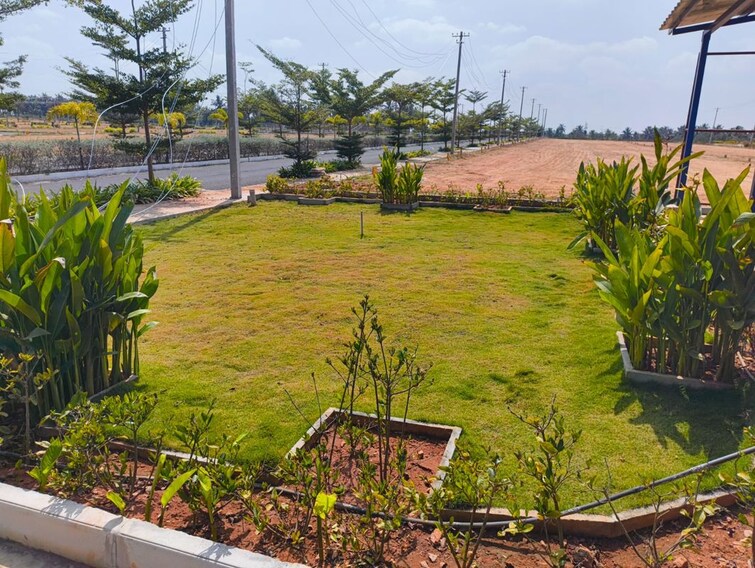 Garden, belur road  1200 Sq.Ft. Plot In Belur Road Hassan 9892054