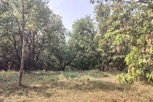  Plot For Sale in Lanja