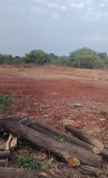 Plot Area in  Plot at Lanja – for Sale