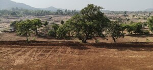  Plot For Sale in Lanja