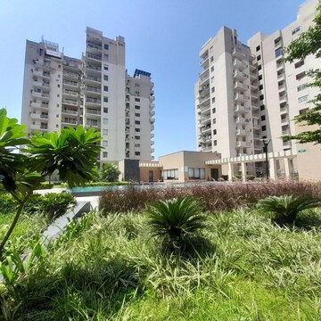 4 BHK Apartment For Rent in Maya Garden City, Nagla Road