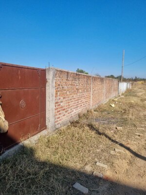 Plot Area in  Plot at Barhu – for Sale