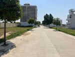 500 Sq.Yd. Plot in Sector 31