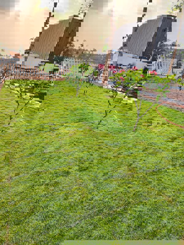 Plot For Sale in Pillahalli