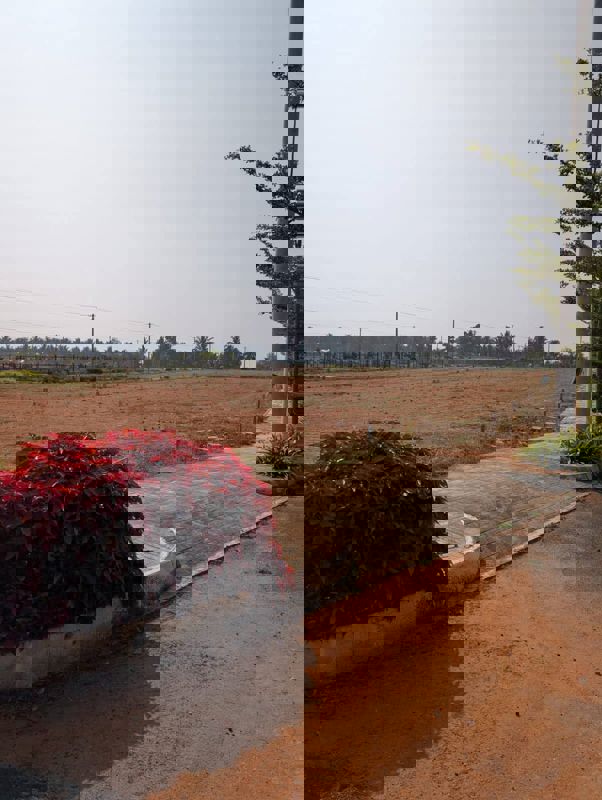 Plot For Sale in Vijay Nagar