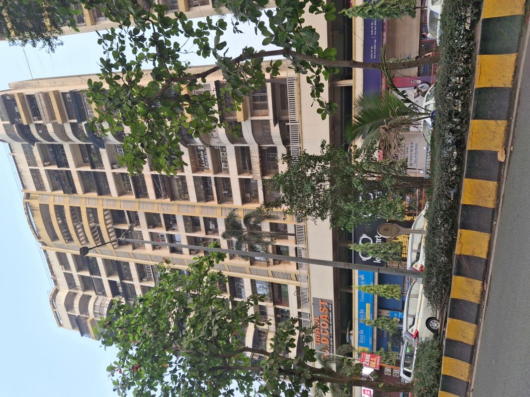 2 BHK Apartment For Rent in Trishul Gold Coast