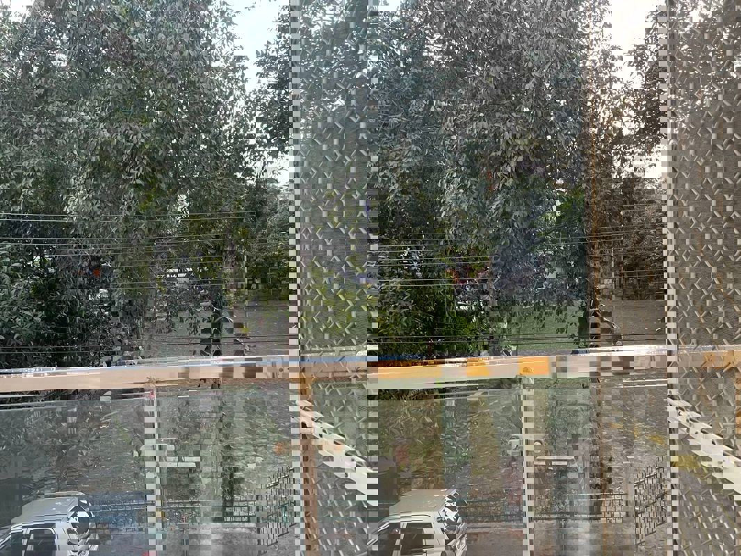 2 BHK 950 Sq.Ft. Builder Floor in Maya Homes