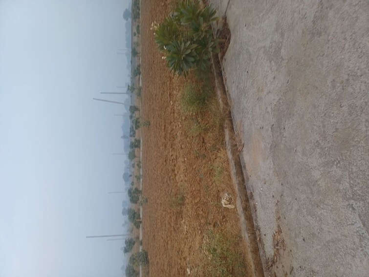 Exterior View, jewar  280 Sq.Yd. Plot In Jewar Greater Noida 9893056