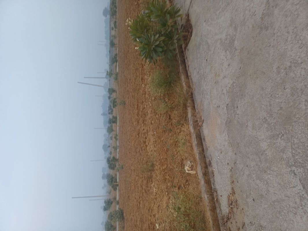 Plot For Sale in Jewar