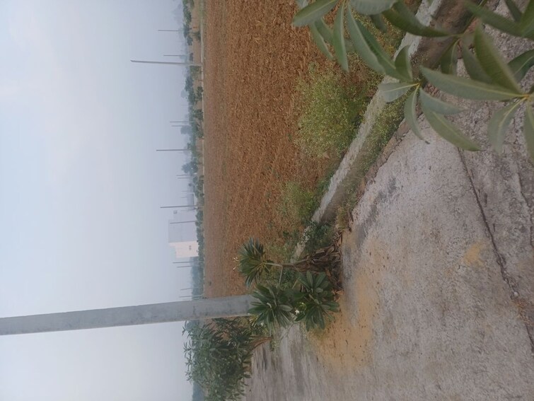 Exterior View, jewar  281 Sq.Yd. Plot In Jewar Greater Noida 9893068