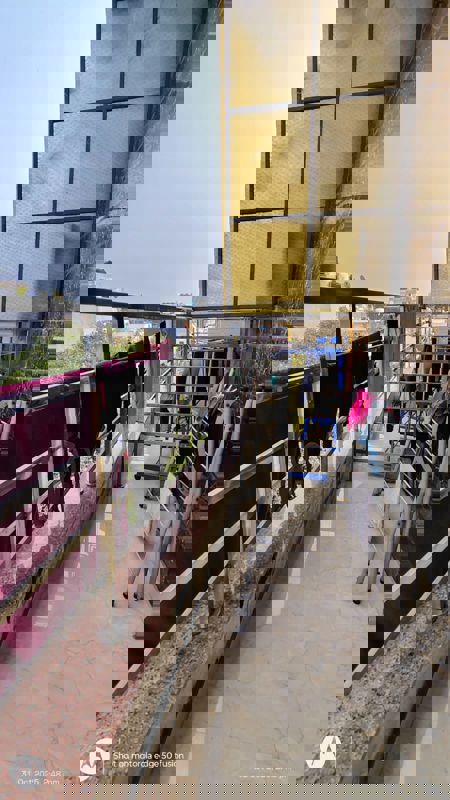 1 BHK Builder Floor For Rent in Shanti Plaza Vaishali