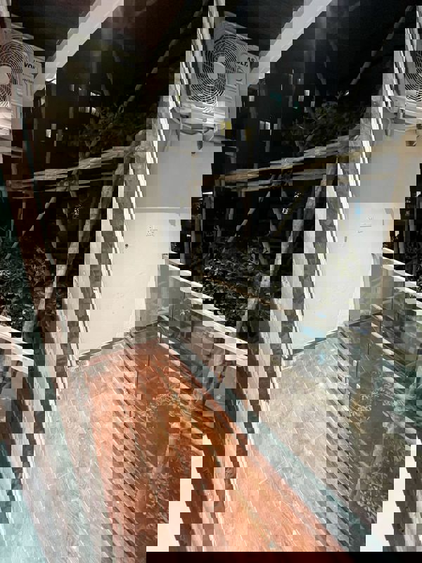 1 BHK Builder Floor For Rent in Koramangala