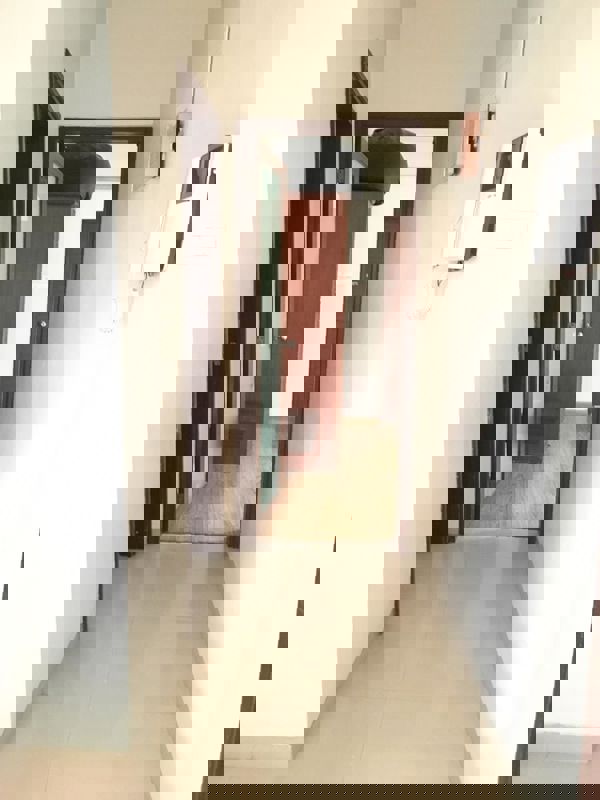 3 BHK Apartment For Rent in Iris Apartment Baner