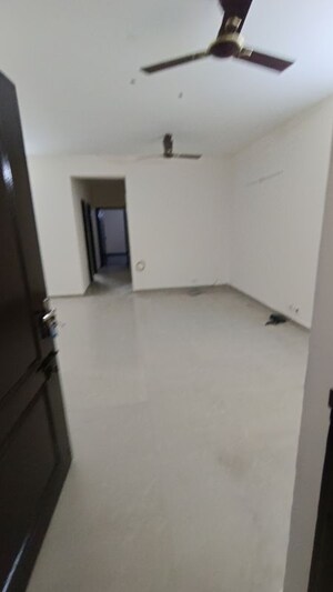 3 BHK Apartment For Rent in Aditya Celebrity Homes, Sector 76