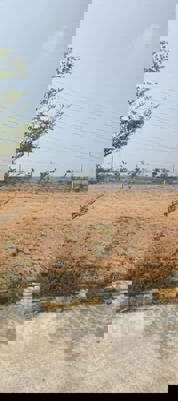 Plot For Sale in Fortune Butterfly City