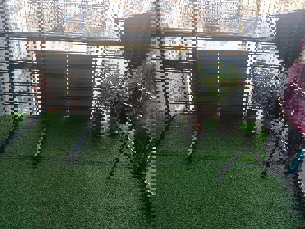 3 BHK 950 Sq.Ft. Apartment in Joshi Amar Vaishali CHS