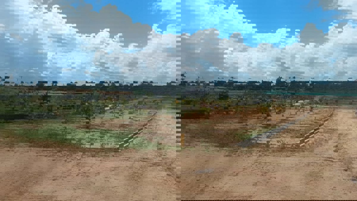 Plot For Sale in Chikkaballapur