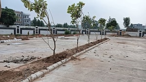 Plot Area in  Plot at Panchkula Urban Estate – for Sale