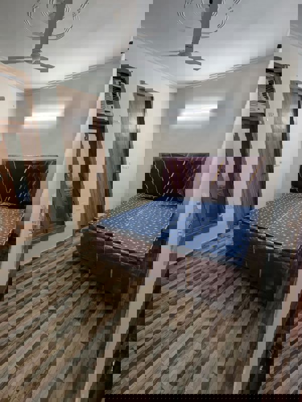 1 BHK Apartment For Rent in Saket